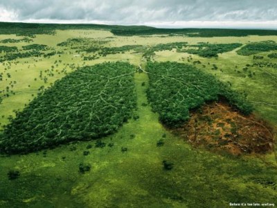 A Scientific Guide to Shrinking Your Carbon&nbsp;Footprint